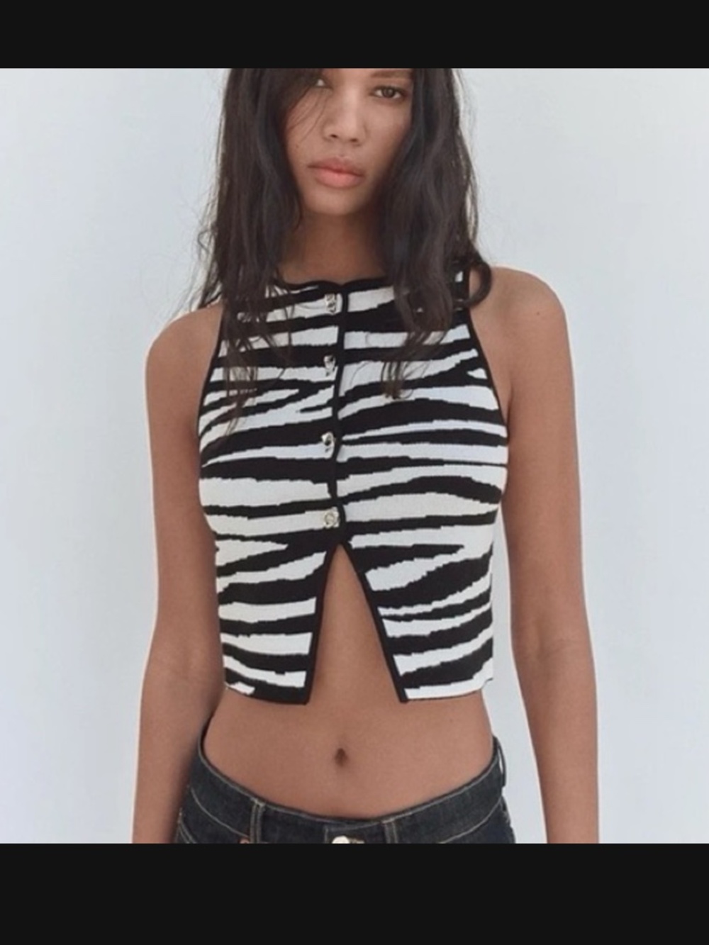 Zara zebra knit top